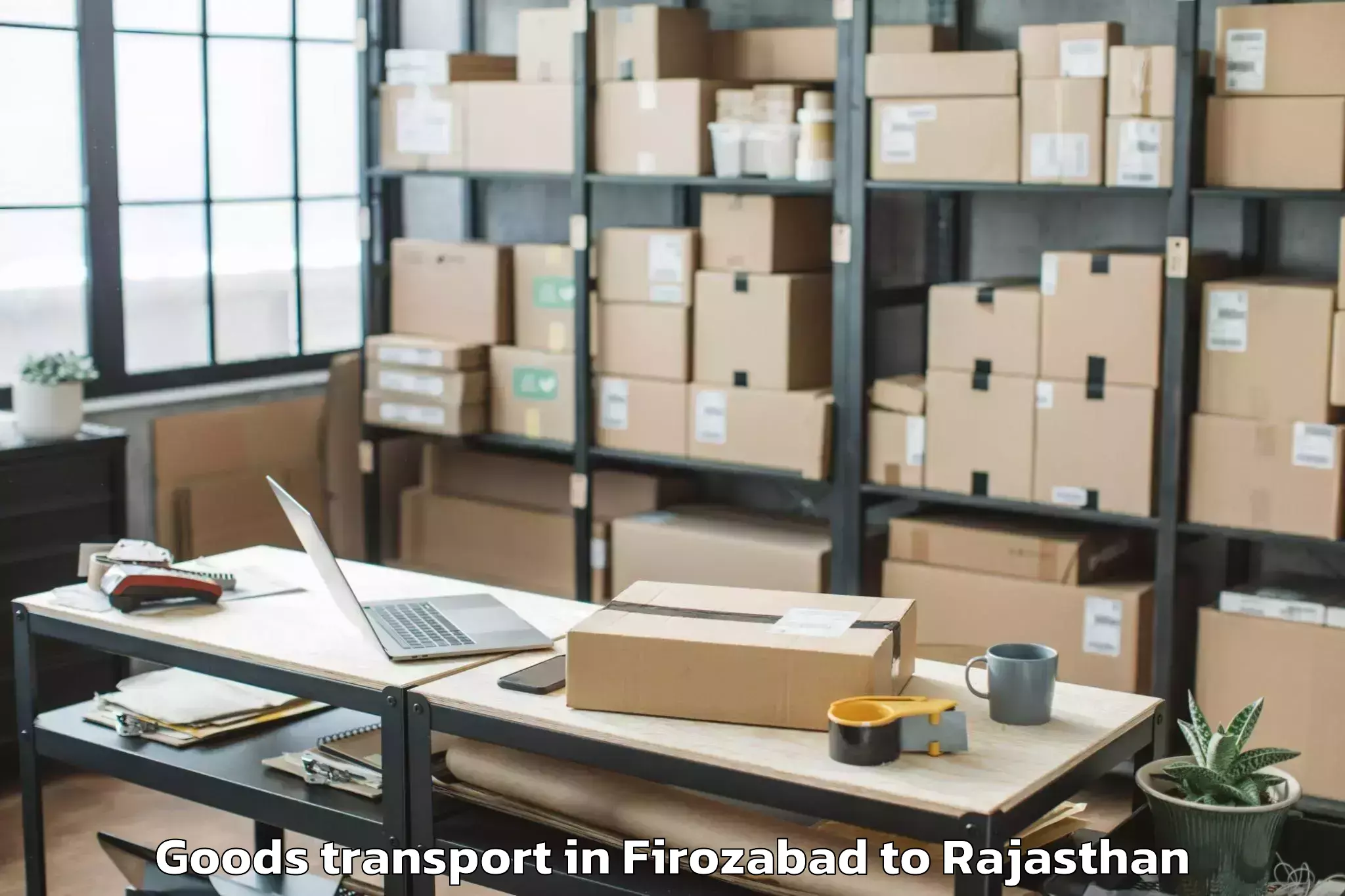 Professional Firozabad to Amet Goods Transport